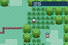 Pokémon Emerald Arena 01
