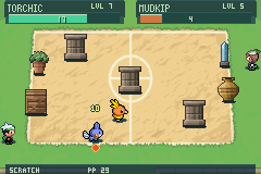 Pokémon Emerald Arena 01