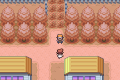 pokemon sunset