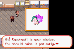 pokemon sunset